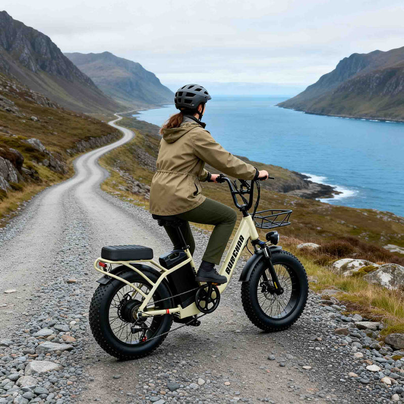 Long-Range E-bikes